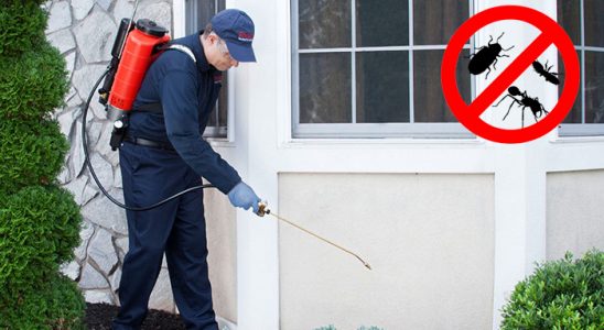 Kofçaz Tahtakurusu İlaçlama böcek ilaçlama ve haşere kontrolü — ilaclama-tr.com